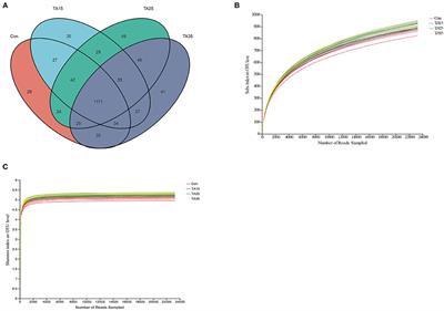 Tannic Acid-Steeped Corn Grain Modulates in vitro Ruminal Fermentation Pattern and Microbial Metabolic Pathways